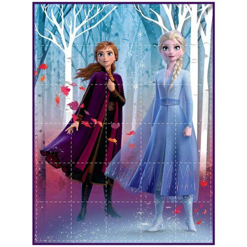 Disney（ディズニー） アナと雪の女王 ウェイトブランケット 加重 重力