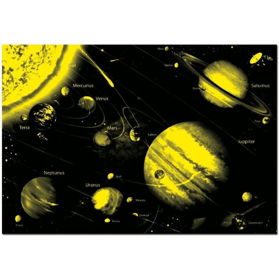 Educa Borras ジグソーパズル パズル 太陽系 夜光 蓄光 1000ピース