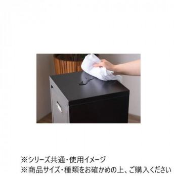 東谷 ラルド ダストボックス ブラック TPN-36BK