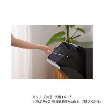 東谷 ラルド ダストボックス ブラック TPN-36BK