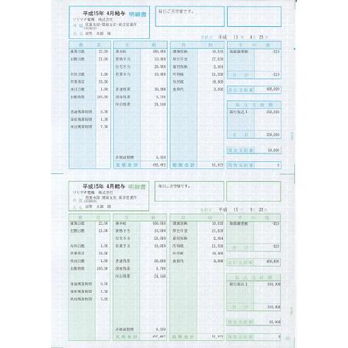 SR2111 給与・賞与明細書（封筒型） 100枚