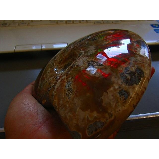 絶品☆数万個の一個☆天然マダガスカル産 化石 イリデッセンス