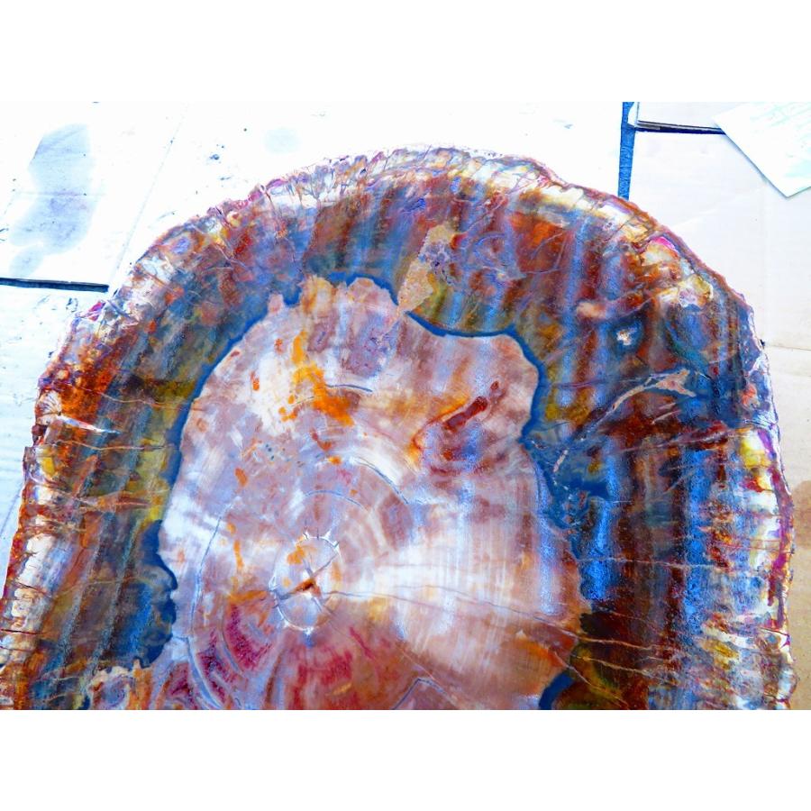 両面研磨☆絶品☆北米アリゾナ産☆化石 珪化木 10000分の1の 三畳紀