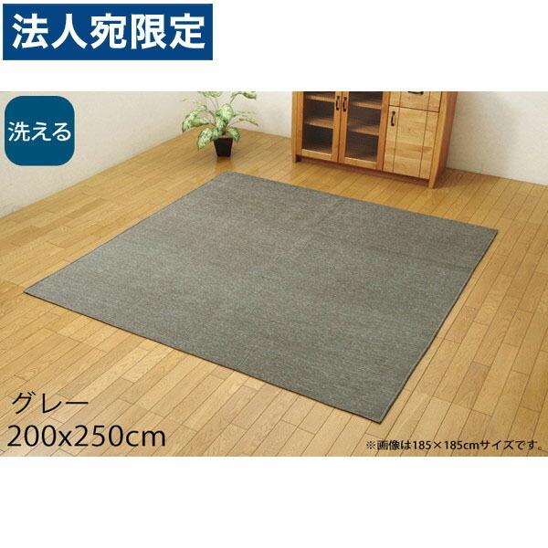 『代引不可』イケヒコ モデルノ 洗える ラグカーペット シェニール織 200×250cm グレー MDRN200250 『返品不可』『法人宛のみ送料無料(一部地域除く)』
