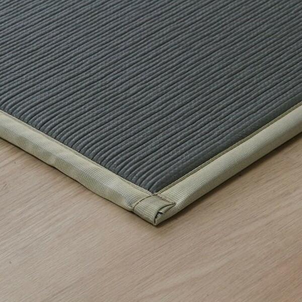 『代引不可』イケヒコ 畳マットレス シングル 100×200cm『法人宛のみ送料無料(一部地域除く)』 | イケヒコ | 02