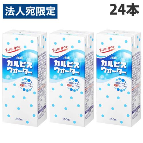 お一人様1箱限り』カルピスウォーター 紙パック 250ml×24本 : オフィス
