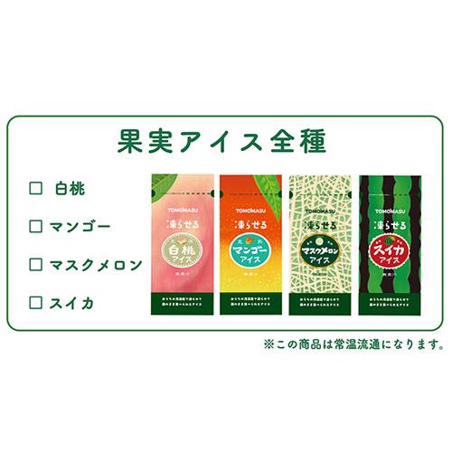 友桝飲料 果実アイス スイカ 80g 12個 パウチタイプ : オフィス