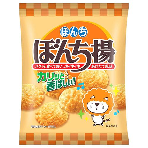 ぽんぺいさん専用出品 Amazon.co.jp: ぼんち ﾎﾟﾘｯとごぼうせんべい 33g×10袋 : 食品