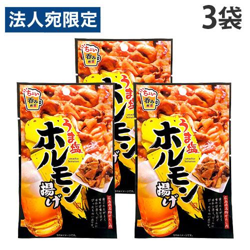 うま塩ホルモン揚げ(15g×120セット)[お菓子 その他] おつまみ うま塩ホルモン揚げ 15g 3袋 MDホールディングス : オフィス