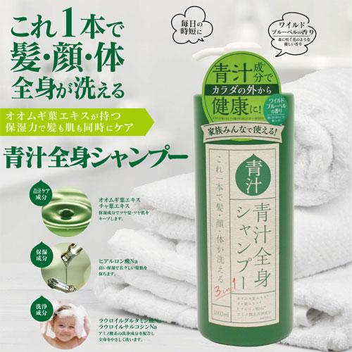 ヒロ・コーポレーション 3in1 青汁全身シャンプーI 1000ml バス用品 お