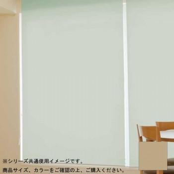 (代引不可) (同梱不可)タチカワ ファーステージ ロールスクリーン オフホワイト 幅80×高さ180cm プルコード式 TR-1011 ベージュ