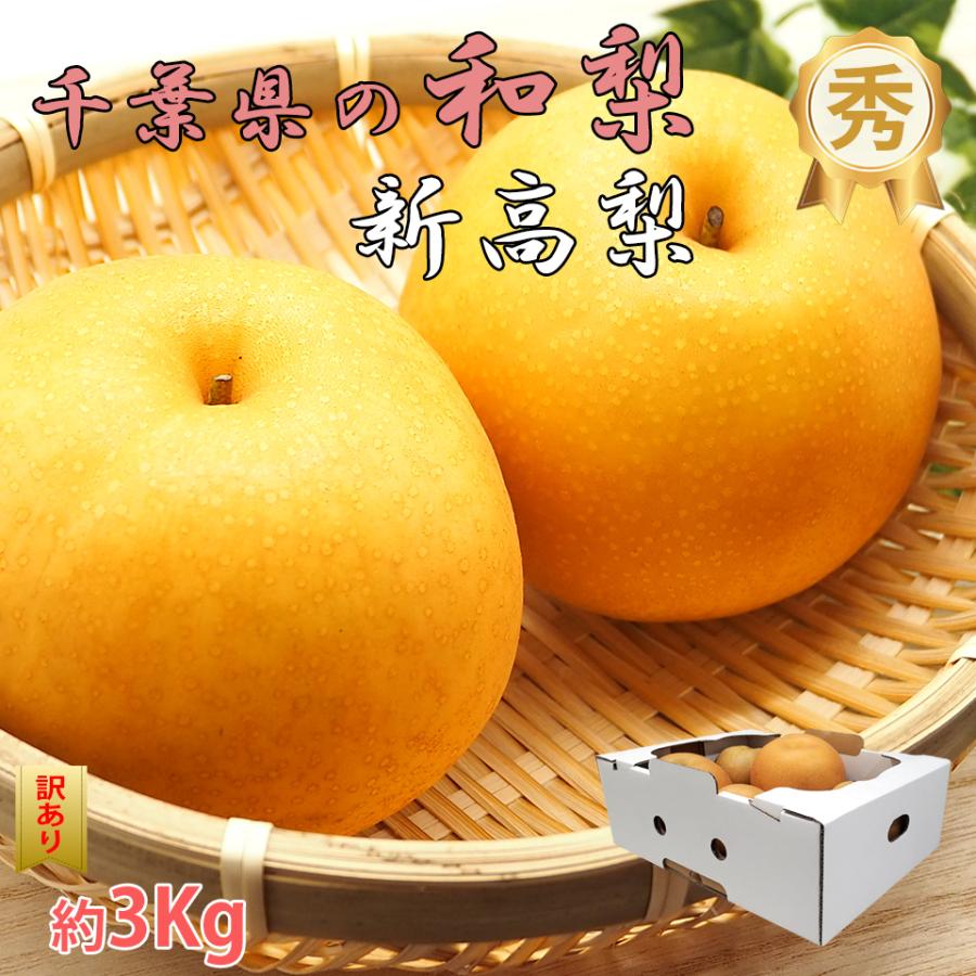Official Takamaru新高梨 新高 果物 千葉県産 旬の果物 訳あり 大きさランダム ナシ 二十世紀 千葉産 5kg前後（9玉 ...