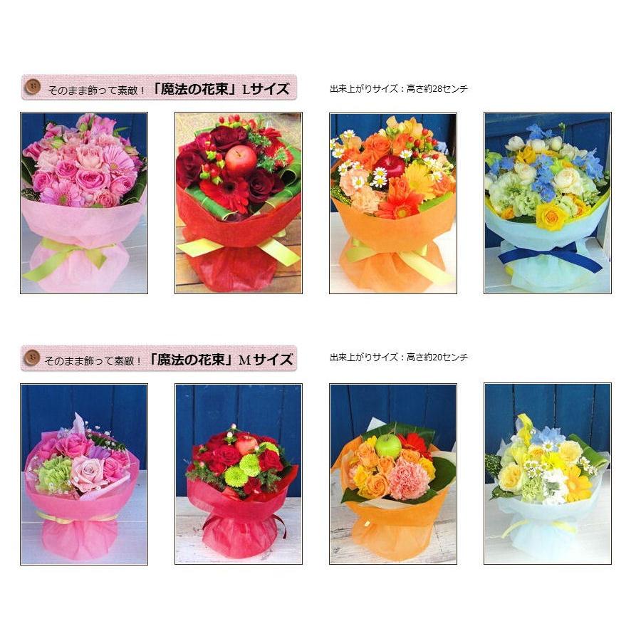 スタンディングブーケ「魔法の花束Ｍサイズ」誕生日 記念日 お見舞い ホワイトデー 母の日 父の日 敬老の日 クリスマス 生花 バラ あすつく |  | 03
