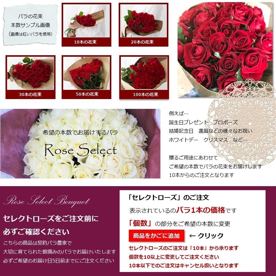 バラ 花束 本数指定で贈るピンクローズ ピンク 本数指定 生花 誕生日 記念日 敬老の日 ホワイトデー 父の日 69 以上節約 母の日 クリスマス