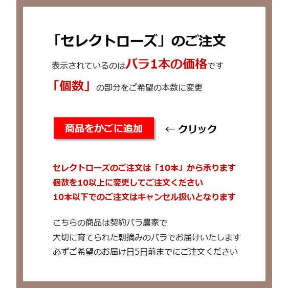 バラ 花束「本数指定で贈るピンクローズ」ピンク 本数指定 生花 誕生日 記念日 ホワイトデー 母の日 父の日 敬老の日 クリスマス |  | 04