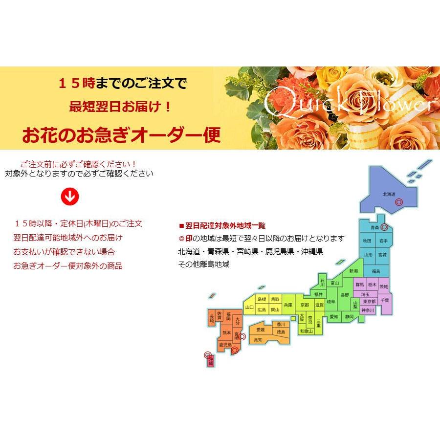 アレンジ「フレンチバスケット8000円」誕生日 記念日 お見舞い ホワイトデー 母の日 父の日 敬老の日 クリスマス 生花 バラ あすつく｜offrir｜06