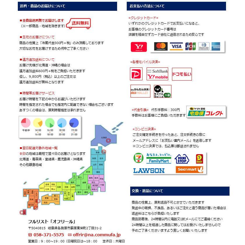アレンジ「フレンチバスケット10000円」誕生日 記念日 お見舞い ホワイトデー 母の日 父の日 敬老の日 クリスマス 生花 バラ あすつく |  | 07