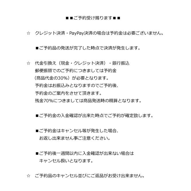 (予約品)8~9月入荷予定/JULIUS・ユリウス/COTTON BACK SATIN/BLACK | JULIUS | 03