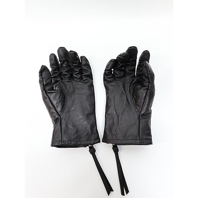 D.HYGEN・ディーハイゲン/ホースレザーZIPグローブ/BLACK : OFFSIDE