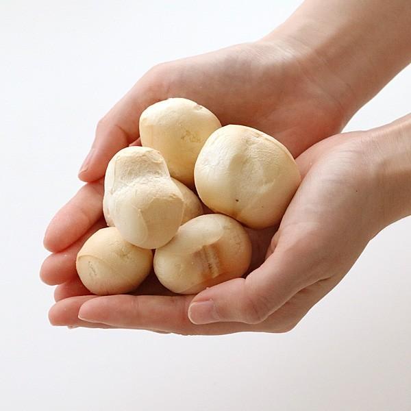 胚芽入もち麩 |  | 01