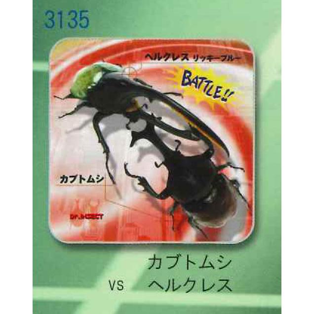昆虫タオル カブトムシvsヘルクレス 3135 ミニタオル あすつく