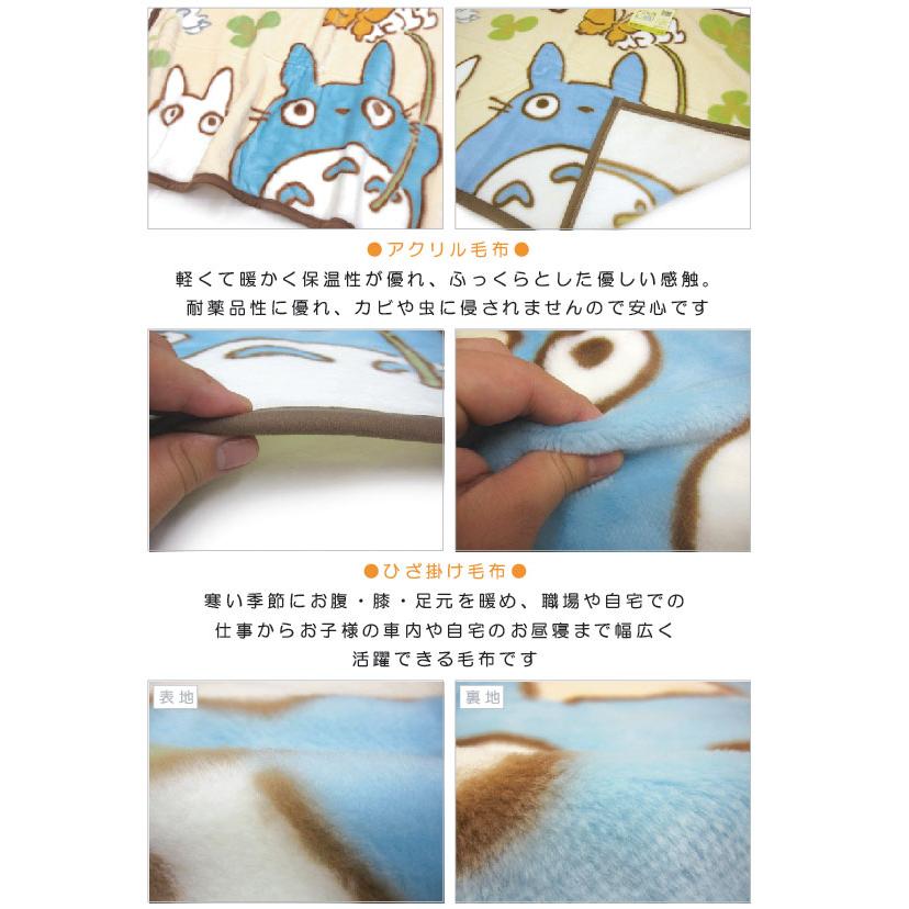 スタジオジブリ となりのトトロ アクリル毛布 ひざ掛けサイズ ほがらか 