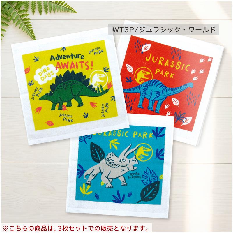 ディズニー ハンドタオル 柄違い 3枚セット 30×30cm 綿100% 両面