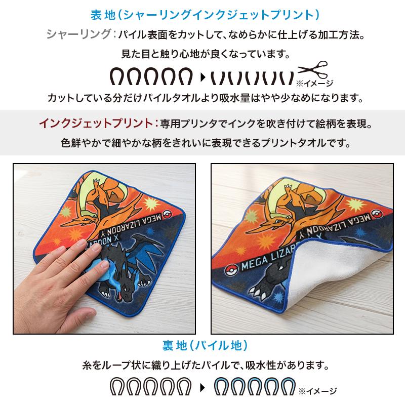 ポケットモンスター ポケモン ミニタオル 20×20cm 綿100% 伝説