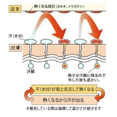 温恵（おんけい） もぐさサポーター 足首用 2枚組 送料無料｜og-land｜05