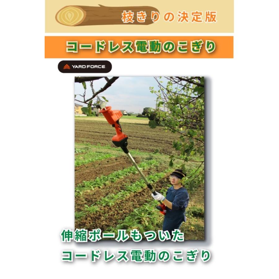 高枝ポール付 18ｖコードレス電動のこぎり 充電式 高枝のこぎり 電気ノコギリ 手のこぎり 2way ノコギリ 鋸 高枝切り 粗大ごみ 引越 送料無料 Yardforce 005 Og Land 通販 Yahoo ショッピング