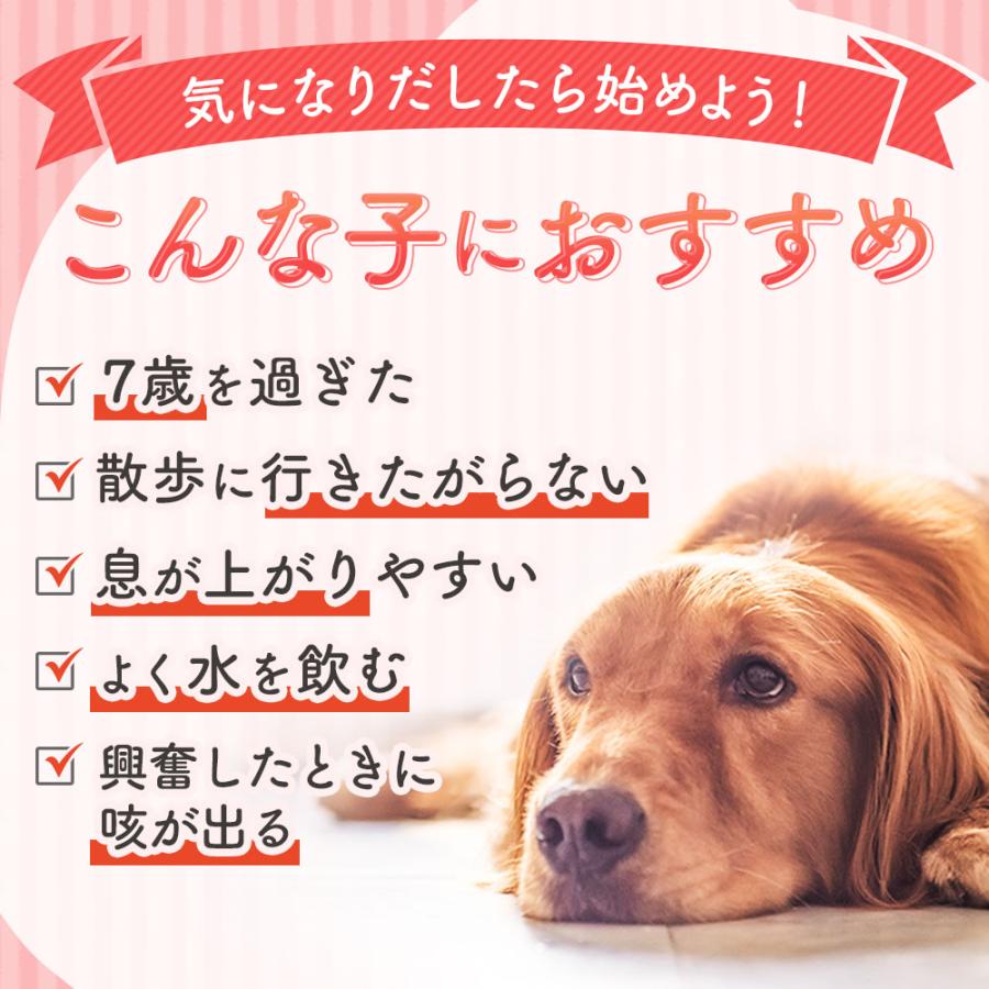 ペットサプリもぐもぐ ポイントアップ 犬 サプリ L-カルニチン