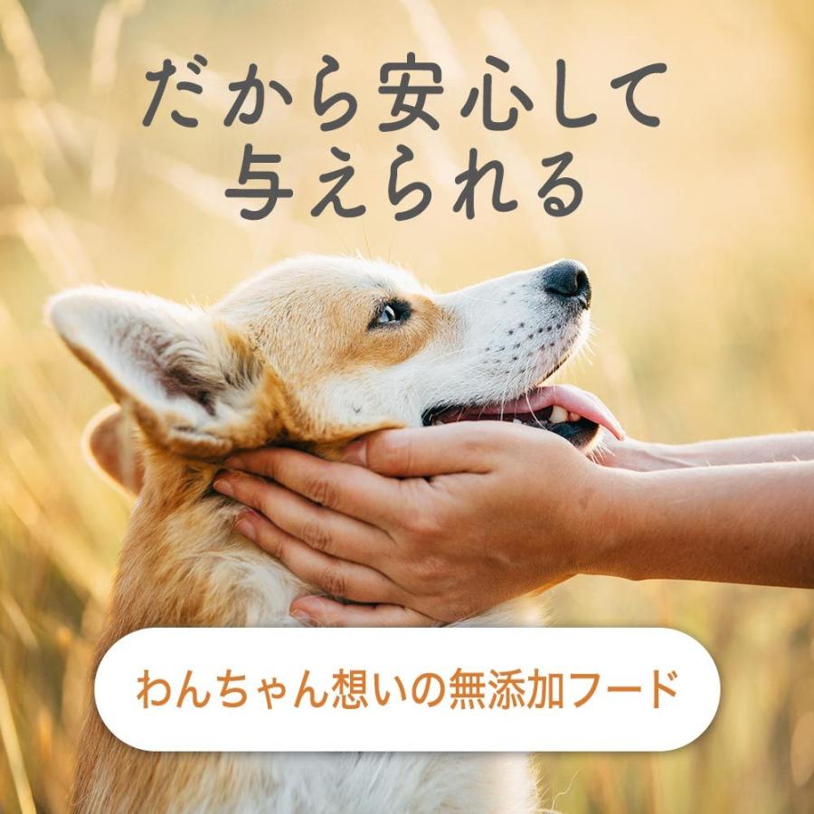 九州産若どりと雑穀ベジミックス 600g 国産 ドッグフード 成犬 シニア犬 お試し 送料無料 犬 食いつき 愛犬 小型犬 中型犬 大型犬 犬用 えさ フード Pcv 600 ペットサプリもぐもぐ 通販 Yahoo ショッピング