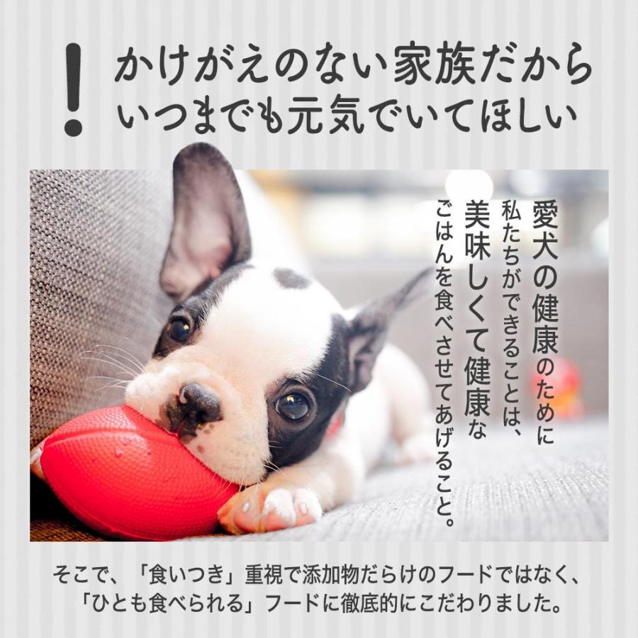 九州産若どりと雑穀ベジミックス 600g 国産 ドッグフード 成犬 シニア犬 お試し 送料無料 犬 食いつき 愛犬 小型犬 中型犬 大型犬 犬用 えさ フード Pcv 600 ペットサプリもぐもぐ 通販 Yahoo ショッピング