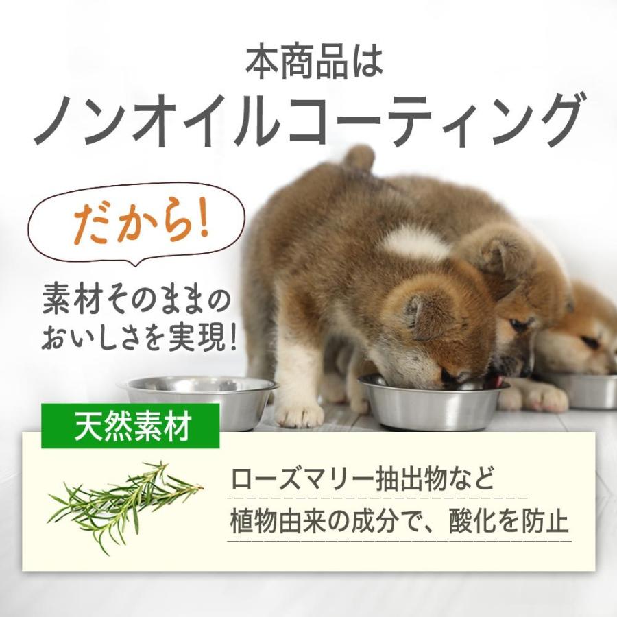 九州産若どりと雑穀ベジミックス 600g 国産 ドッグフード 成犬 シニア犬 お試し 送料無料 犬 食いつき 愛犬 小型犬 中型犬 大型犬 犬用 えさ フード Pcv 600 ペットサプリもぐもぐ 通販 Yahoo ショッピング