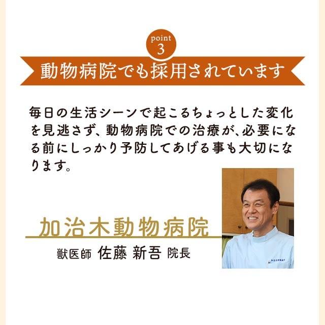 グルコサミン 30g 犬 サプリ 送料無料 愛 犬 関節 サプリメント ペット ドッグフード シニア犬 散歩 老犬 サポーター グルテンフリー 粉末 ご飯 ふりかけ Pgl 30 ペットサプリもぐもぐ 通販 Yahoo ショッピング