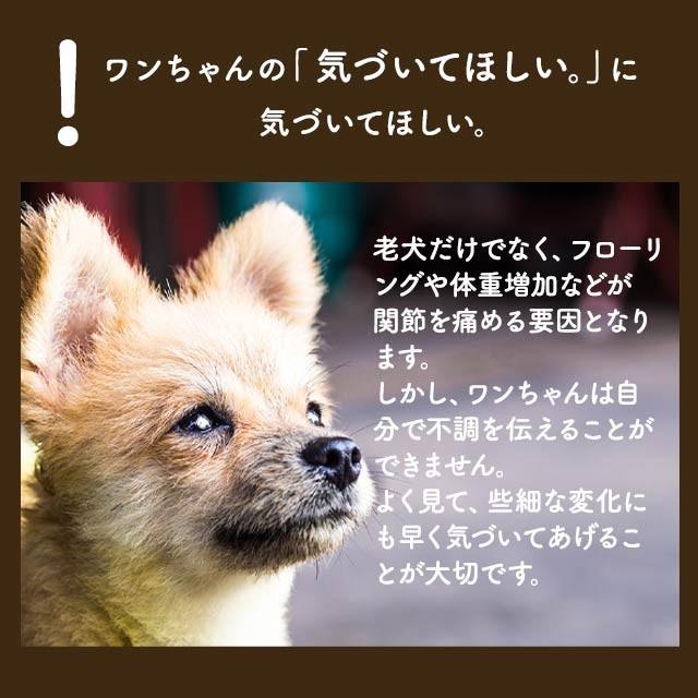 犬 関節 サプリ グルコサミン 30g :pgl-30:ペットサプリもぐもぐ - 通販 - Yahoo!ショッピング 犬 関節 サプリ グルコサミン 30g :pgl-30:ペットサプリもぐもぐ - 通販 - Yahoo!ショッピング