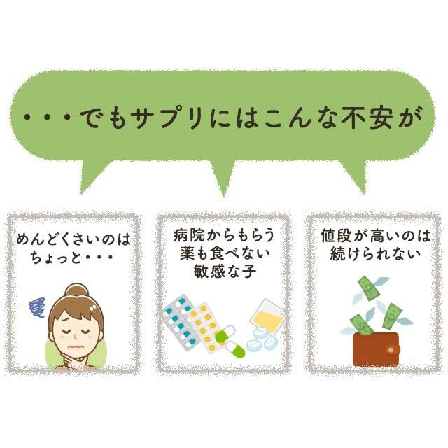 グルコサミン 30g 犬 サプリ 送料無料 愛 犬 関節 サプリメント ペット ドッグフード シニア犬 散歩 老犬 サポーター グルテンフリー 粉末 ご飯 ふりかけ Pgl 30 ペットサプリもぐもぐ 通販 Yahoo ショッピング