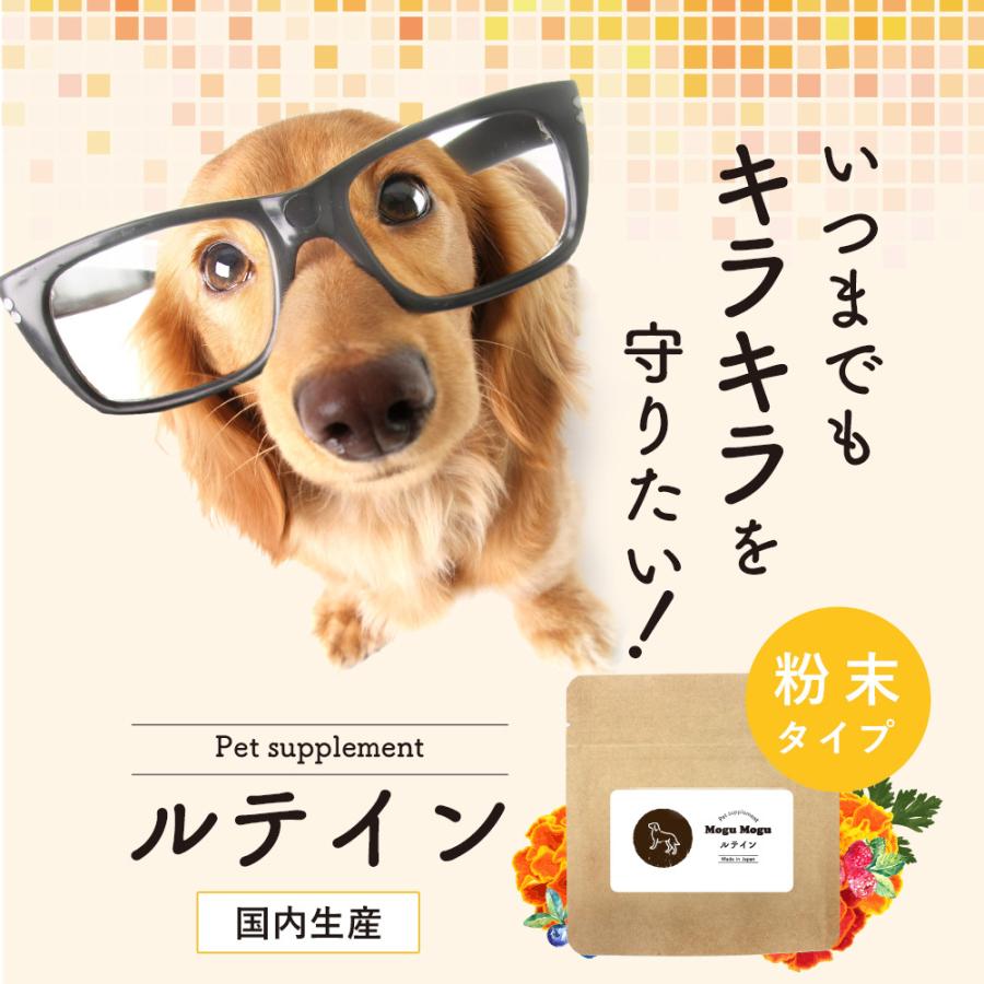 ルテイン 30g 犬 目 サプリ 送料無料 動物病院採用 アイケア ブルーベリー 粉末 人気急上昇 ドッグフード サプリメント ふりかけ ペット 国内生産 マリーゴールド