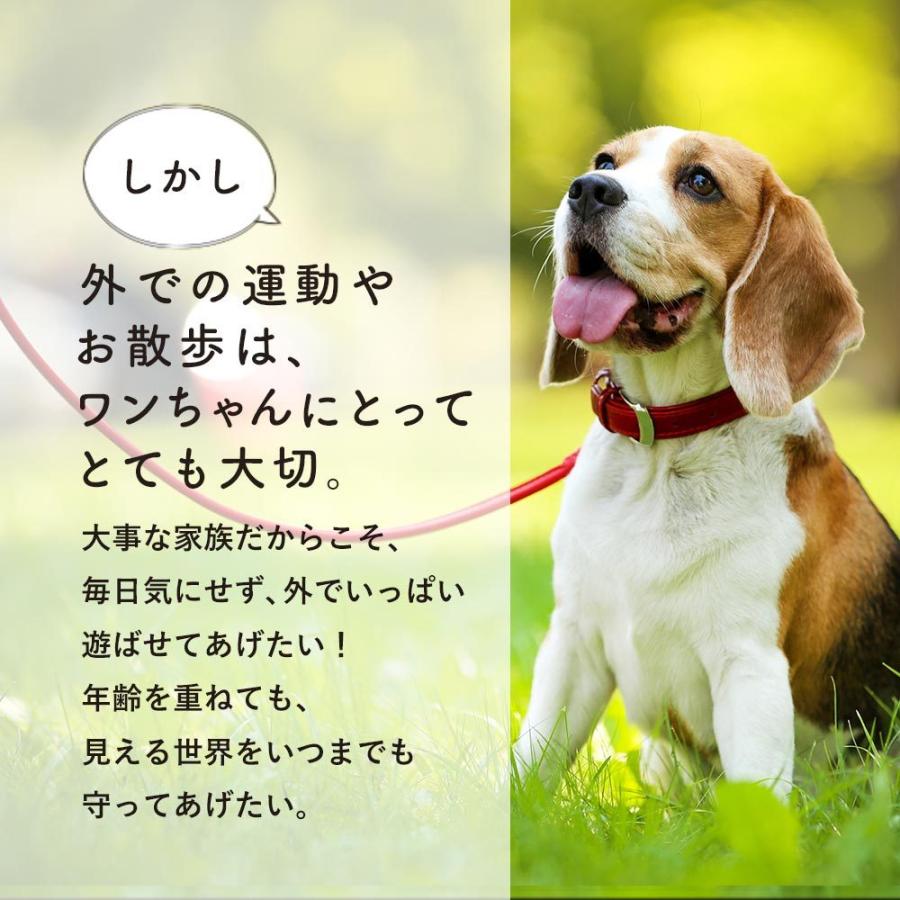 ルテイン 30g 犬 目 サプリ 送料無料 動物病院採用 アイケア ブルーベリー マリーゴールド サプリメント ペット ドッグフード ふりかけ 粉末 国内生産 Prt 30 2 ペットサプリもぐもぐ 通販 Yahoo ショッピング