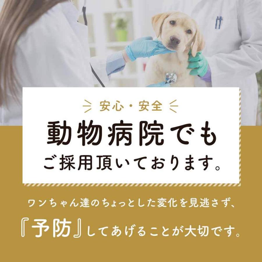 ルテイン 犬 サプリ 30g 送料無料 目 愛犬 動物病院採用 アイケア ブルーベリー マリーゴールド サプリメント ペット ドッグフード ふりかけ 粉末 国内生産 Prt 30 ペットサプリもぐもぐ 通販 Yahoo ショッピング