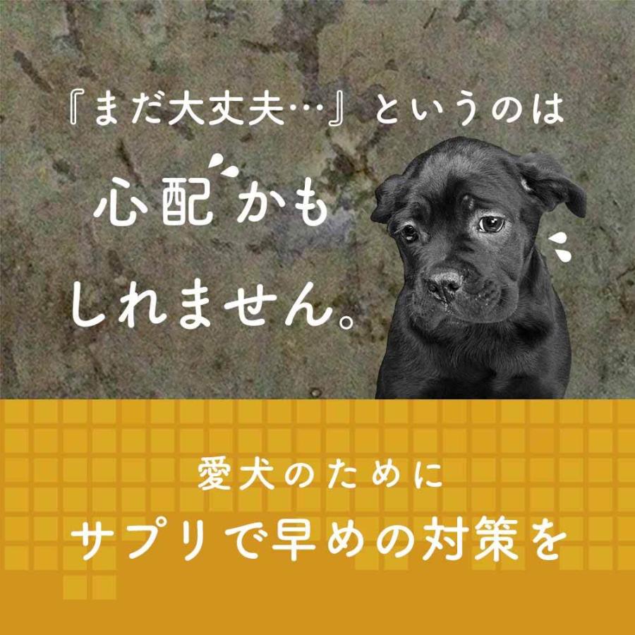 犬 目 サプリメント ルテイン ペット サプリ 猫 30g 送料無料 愛犬 動物病院採用ドッグフード ふりかけ 国内生産｜oga012｜06