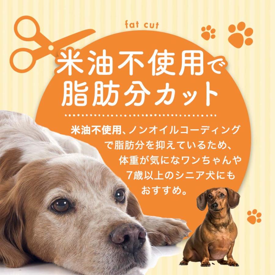 ドッグフード KJ ドッグフード,ドライフード | NONKOROオンラインストア