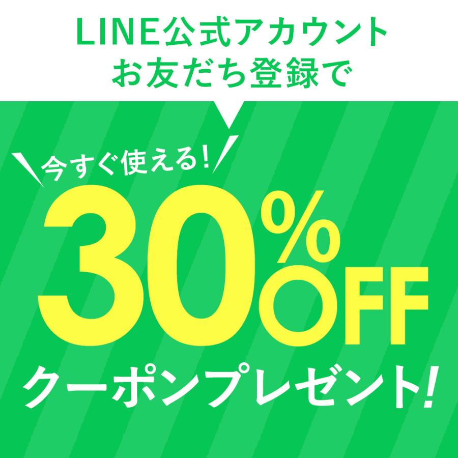 ドッグフード 無添加 100g 九州産若どりと雑穀ベジミックス 国産