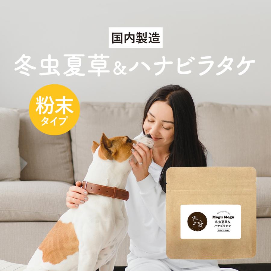 犬 猫 サプリ ハナビラタケ 冬虫夏草 30g｜oga012