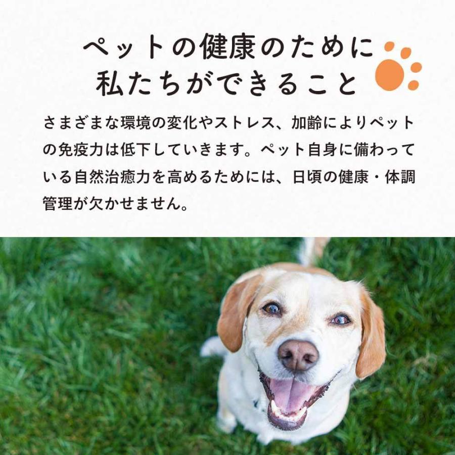本物新品保証 犬 ハナビラタケ 冬虫夏草 30g サプリ 猫 サプリメント