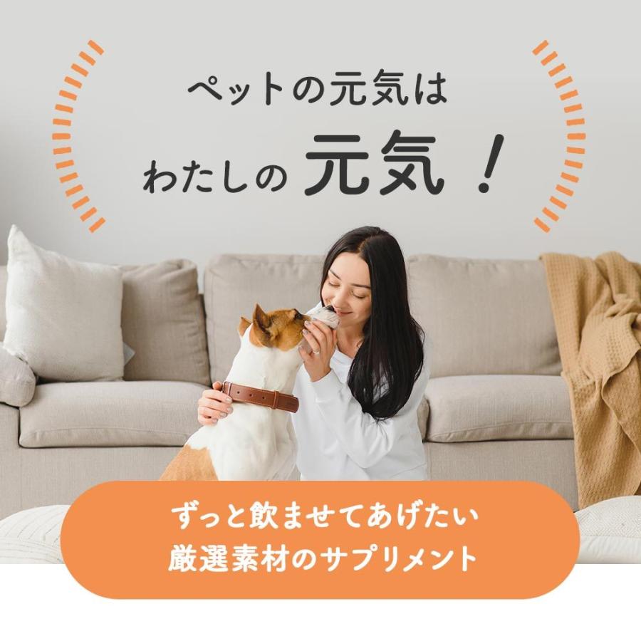 犬 猫 サプリ ハナビラタケ 冬虫夏草 30g｜oga012｜10