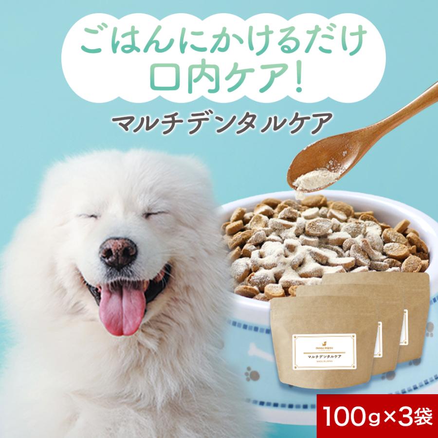 5%OFFクーポン配布中 犬 口腔ケア 口臭ケア 歯磨き 乳酸菌 歯石 ふりかけ サプリ デンタルケア パウダー オリゴ糖 国産 犬用 10 の商品画像