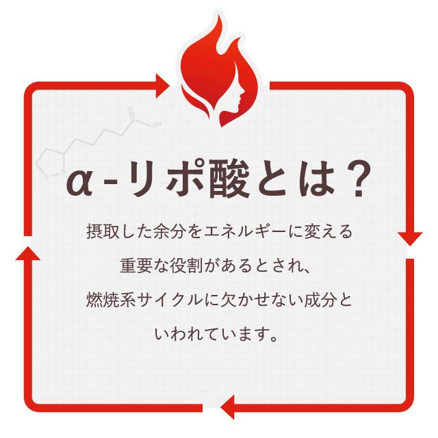 α-リポ酸 （約12ヶ月分）サプリ ダイエット コエンザイム Q10 サプリメント アルファ リポ酸 燃焼系 スポーツ トレーニング 美容 健康 初心者 おすすめ｜oga｜06