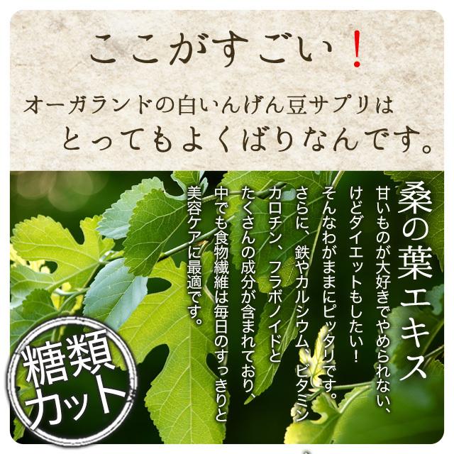 白いんげん豆サプリ (約12ヶ月分) 賞味期限2024年3月末まで サプリ ゴーヤ 桑の葉 サプリメント ダイエット 健康 ファビノール 炭水化物 糖 が好きな方に 白いんげん豆&キチンキトサン&桑の葉エキス 約6ヶ月 分 サプリ サプリメント 健康 ダイエット 白いんげん豆 キトサン 桑の葉 ファビノール キチンキトサン 6D