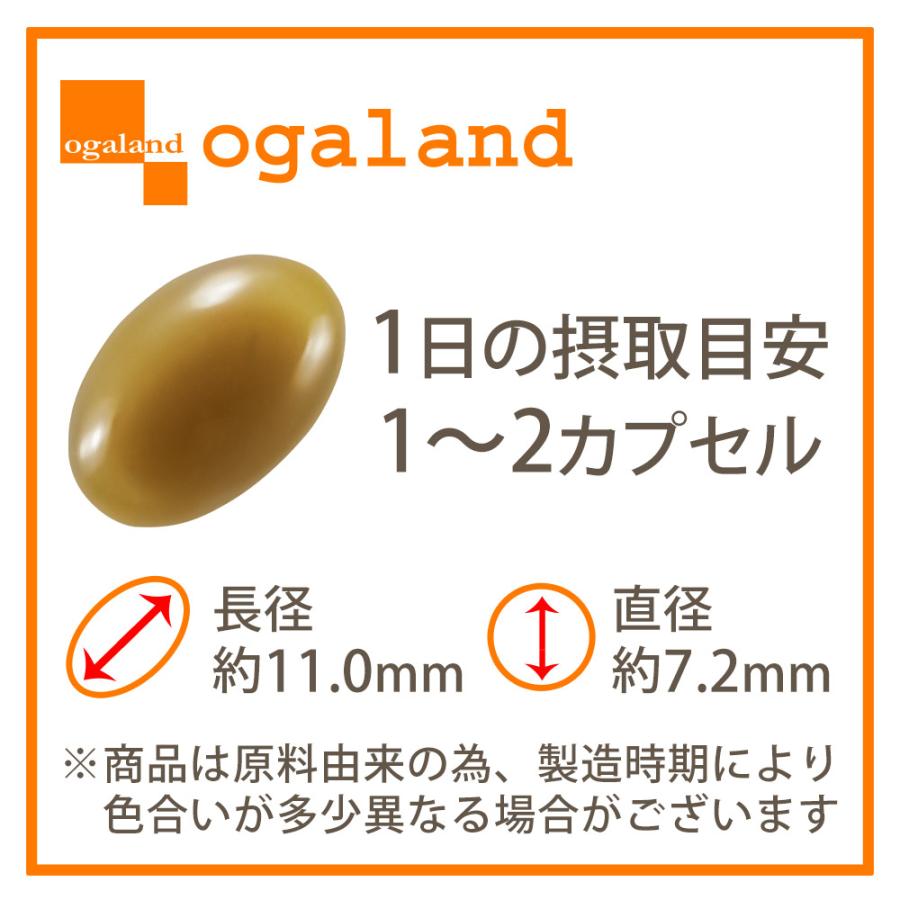 ogaland（オーガランド） アマニ油 やさい酵素 （約12ヶ月分） 酵素